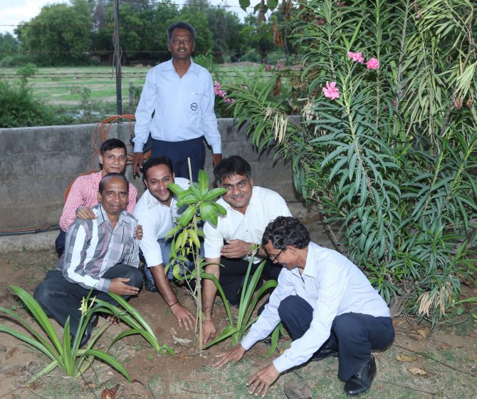 PLANTATION ON ESTABLISHMENT DAY (1)